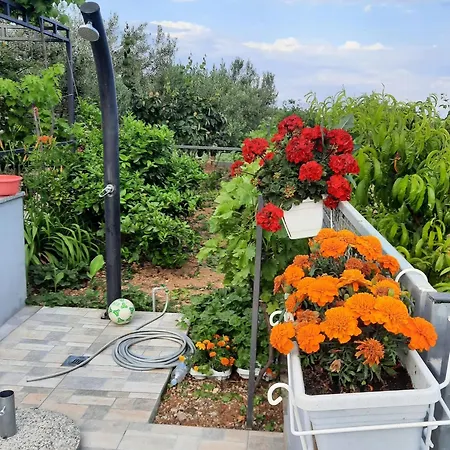 With Parking Space Seget Donji, - 23533 Appartement *